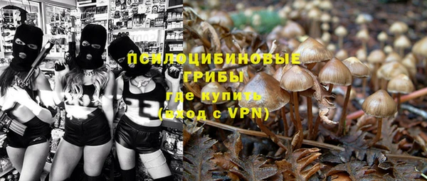 PSILOCYBIN Верея