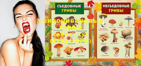 PSILOCYBIN Верея