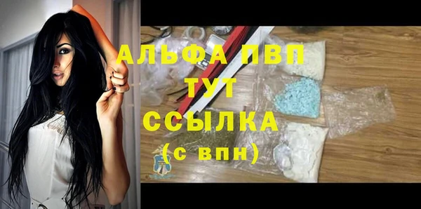 PSILOCYBIN Верея
