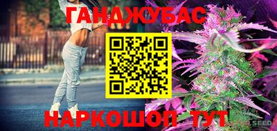 индика Кизляр