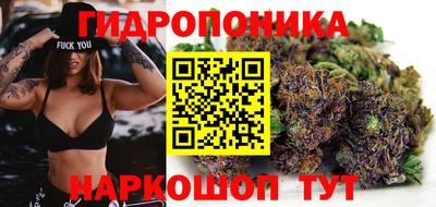 индика Кизляр
