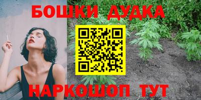 индика Кизляр